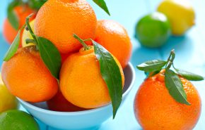 Tangerine 5 Fold Super Concentrate E.O (Season 2025)