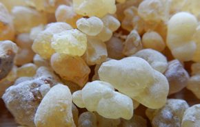 Frankincense Papyrifera Oleoresin