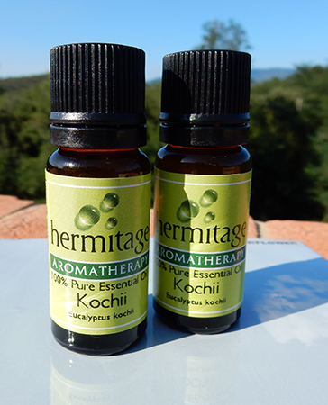 Eucalyptus Kochii essential oil