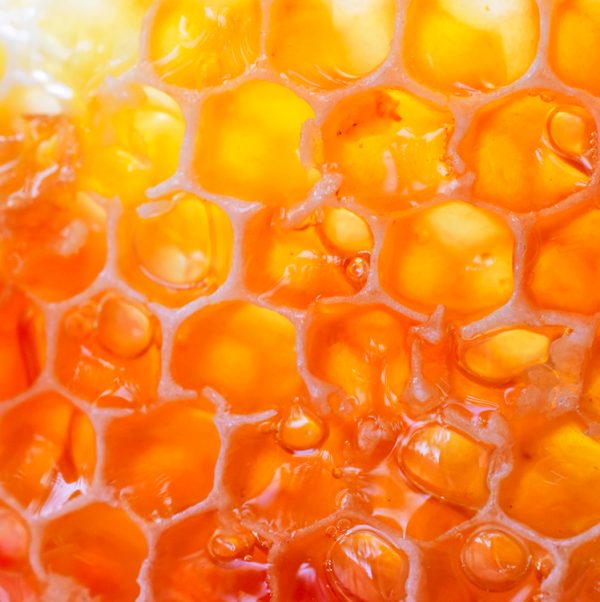 Honey Provence Firabs