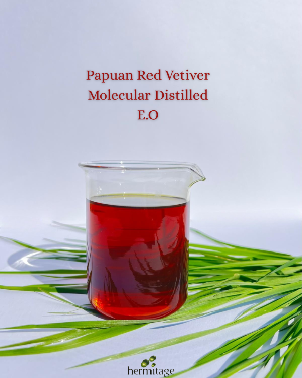 Papuan Red Vetiver