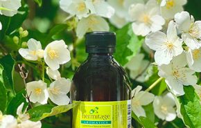 Triethyl Citrate Natural (TEC)