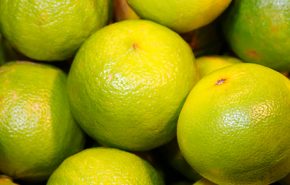 Bergamot E.O FCR Signature Gold (Season 2025)