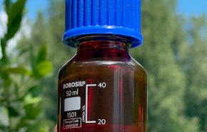 Ruby Red Wild Oud 2020