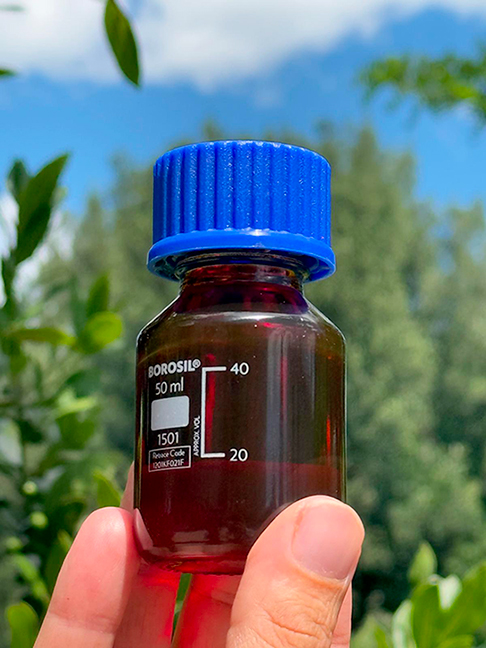 Ruby Red Wild Oud 2020
