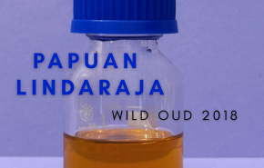 Papuan Lindaraja Wild Oud 2018