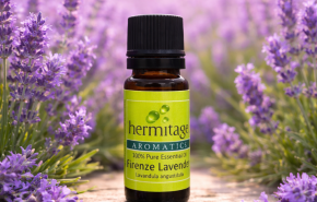 Firenze Lavender