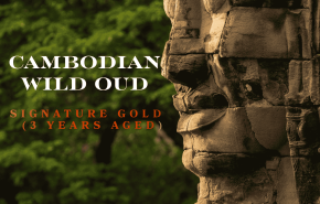 Cambodian Wild Oud Signature Gold (3 Years Aged)